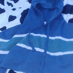 Ardenes Cropped hoddie